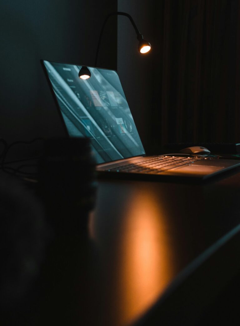 reinhart julian p5v8denky60 unsplash